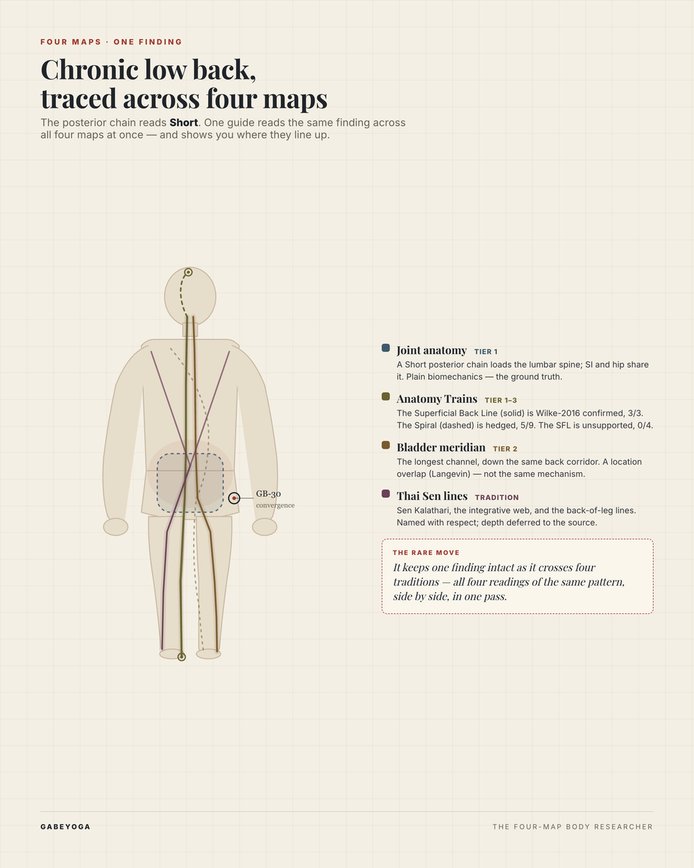 One posterior body with four map-register lines — joint anatomy (slate), Superficial Back Line (olive), Bladder meridian (ochre), and Sen Kalathari (plum) — sharing the back corridor without merging.